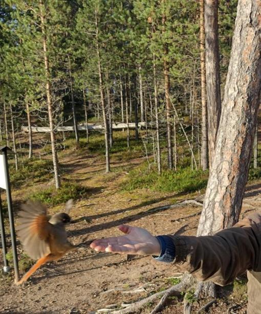 Villa Lusma Inari Bagian luar foto
