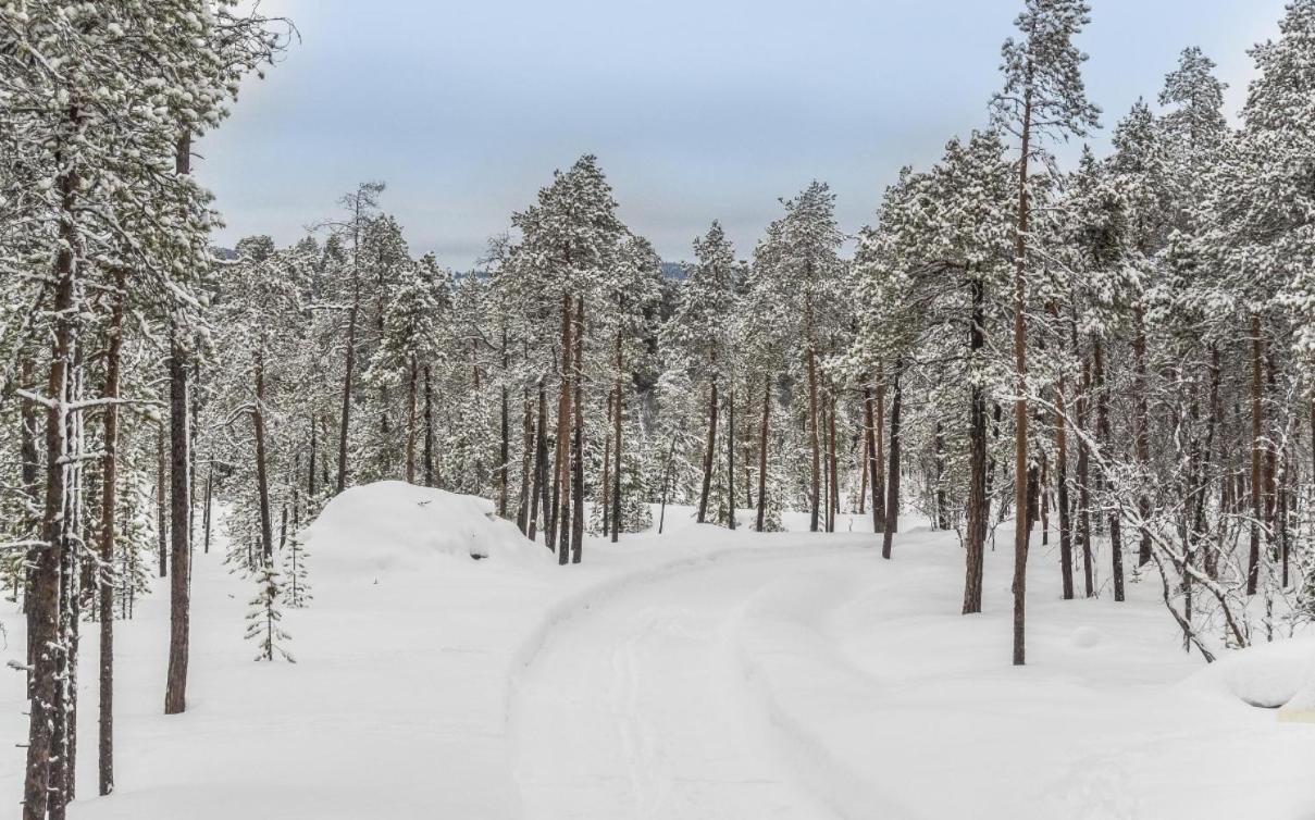 Villa Lusma Inari Bagian luar foto