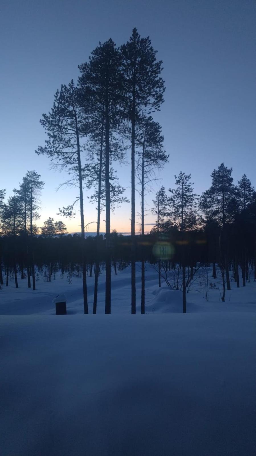 Villa Lusma Inari Bagian luar foto
